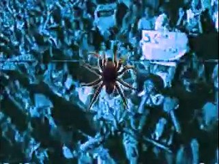 Sergio "El Lobizón del Oeste" - La Arañita de Martita 1996 - Videomatch