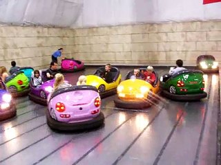 Bumper Cars