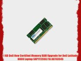 1 GB Dell New Certified Memory RAM Upgrade for Dell Latitude D800 Laptop SNP1Y255C/1G A0743545