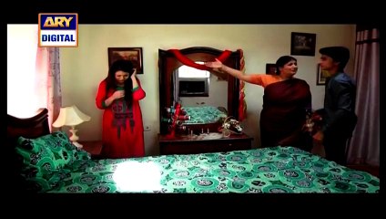 Dil-e-Barbaad Episode 67 full on Ary Digital - 11th June 2015