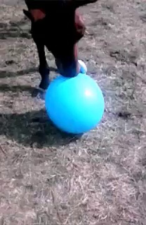 jeux