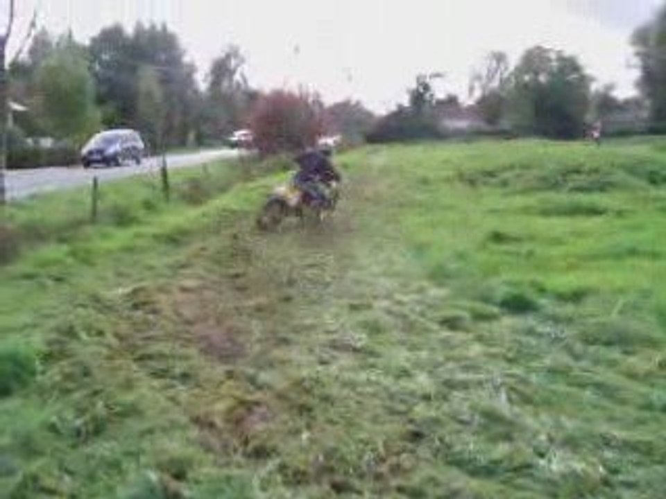 Entrainement en pature