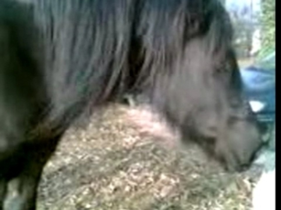 Vidéo(032)