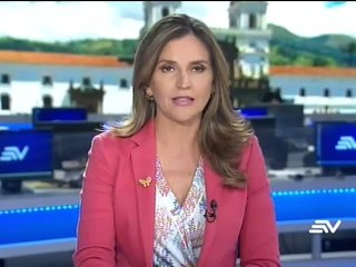 AP mantendrá vigilia en av. Los Shyris frente a protestas opositoras