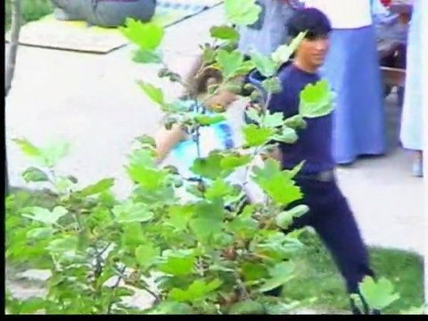 Koma Diljiyan - Sasonlu Hüseyin - Daye Gündem Şerine