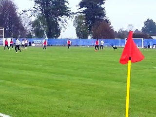 Copa América: un perro ingresó a la práctica de Perú en Chile
