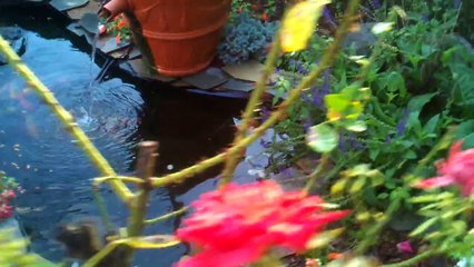 DIY Koi Pond filter