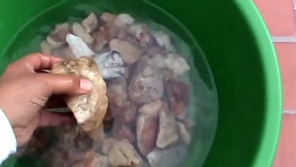 ORGONITAS NUBES HAARP CLOUDBUSTER CUARZO Y ELECTROLITE