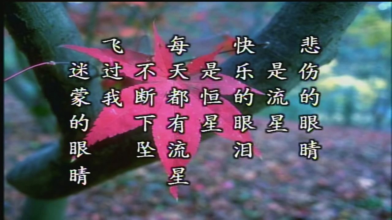 卓依婷 (Timi Zhuo) - 谁 的 眼 泪 在 飞 (Whose Tears Are Flying)