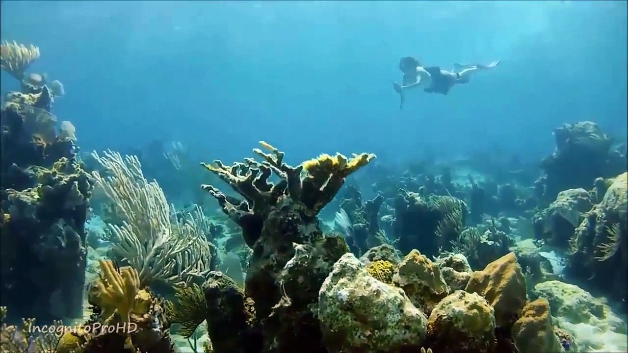 People Are Awesome - Women's Edition Amazing skills #3