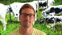 Alte Nutztierrassen Folge 31: Kärntner Brillenschaf, Tier Rasse Doku, Villnösser Schaf, Höck