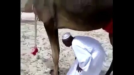 Kumpulan vidio, humor lucu orang gila arab  Lucu orang arab film video