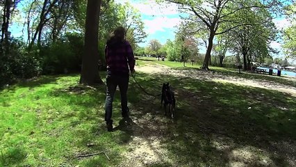 Geronimo - Amazing Frisbee Dog | Action Cam | Sony