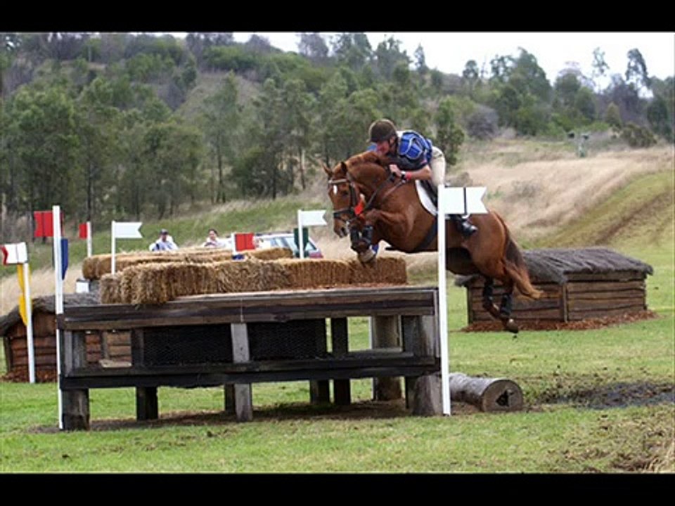 Three Day Eventing