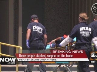 Three people stabbed, suspect on the loose