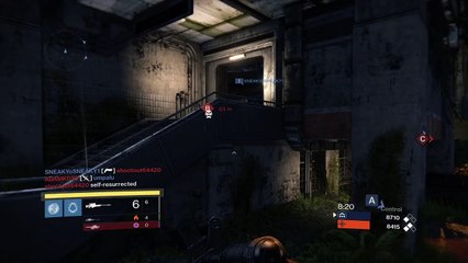 Collateral radiance warlock and blade dancer bowlcut