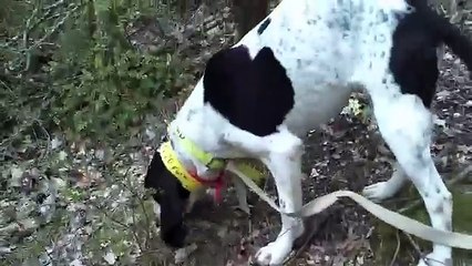 Candie et la championne de France!FUIN LIONEL