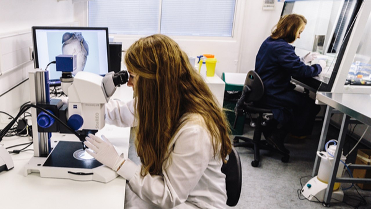 Nope, Female Scientists Are Not "Distractingly Sexy"