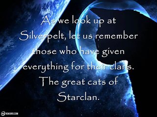 Warrior Cats - Starclan Tribute