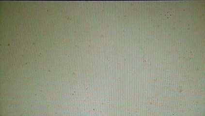 Dusty Rhodes Tribute