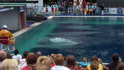 B-Boys 3m Final - Diving Junior European Championships 2011