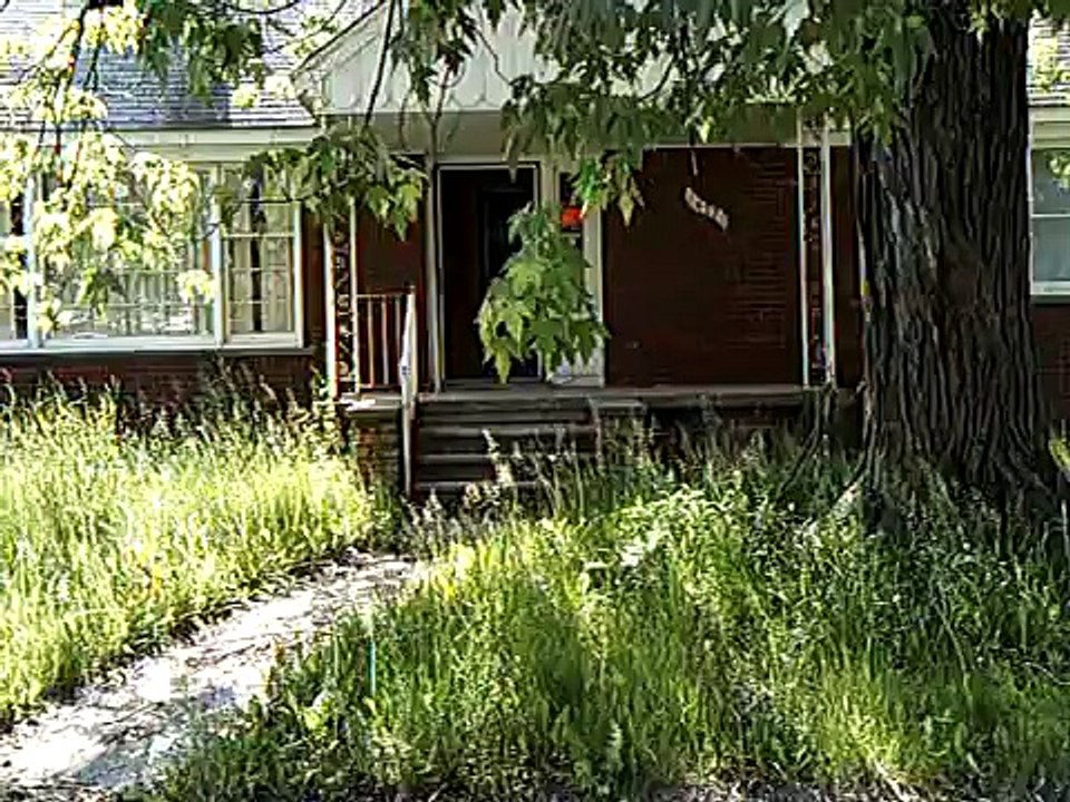 Detroit City Death Traps - Patton St.