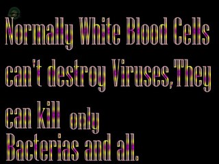 Rabies Virus The Path 2d animation Video[just 4 fun only]