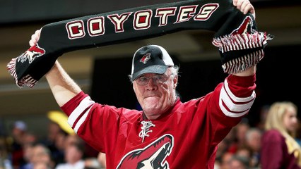 Arizona Coyotes Fan Owns Mayor Jerry Weiers During Hearing on Team's Future