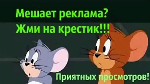 Том и джери на русском все серии Кот трусишка