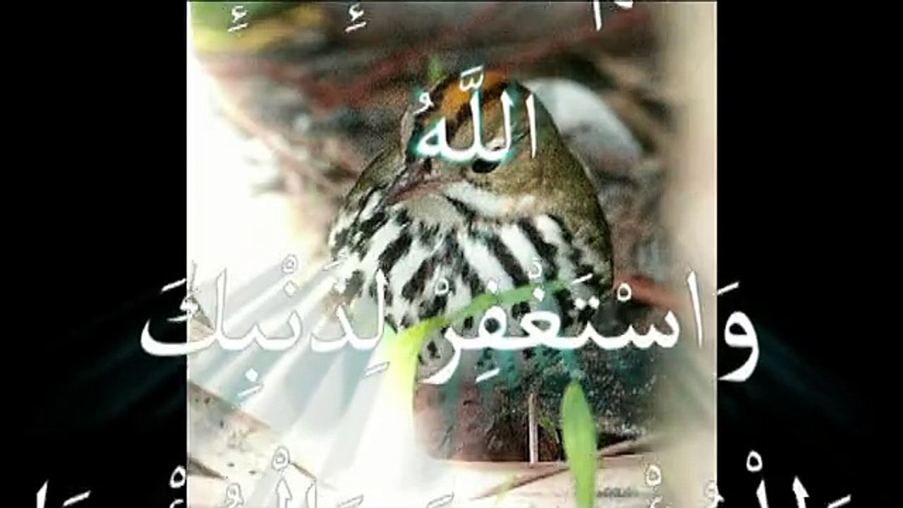 les miracles d'Allah.voyons et reflechissons أجمل مقطع للتفكر في مخلوقات الله
