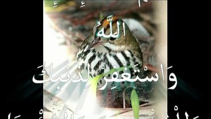 les miracles d'Allah.voyons et reflechissons أجمل مقطع للتفكر في مخلوقات الله