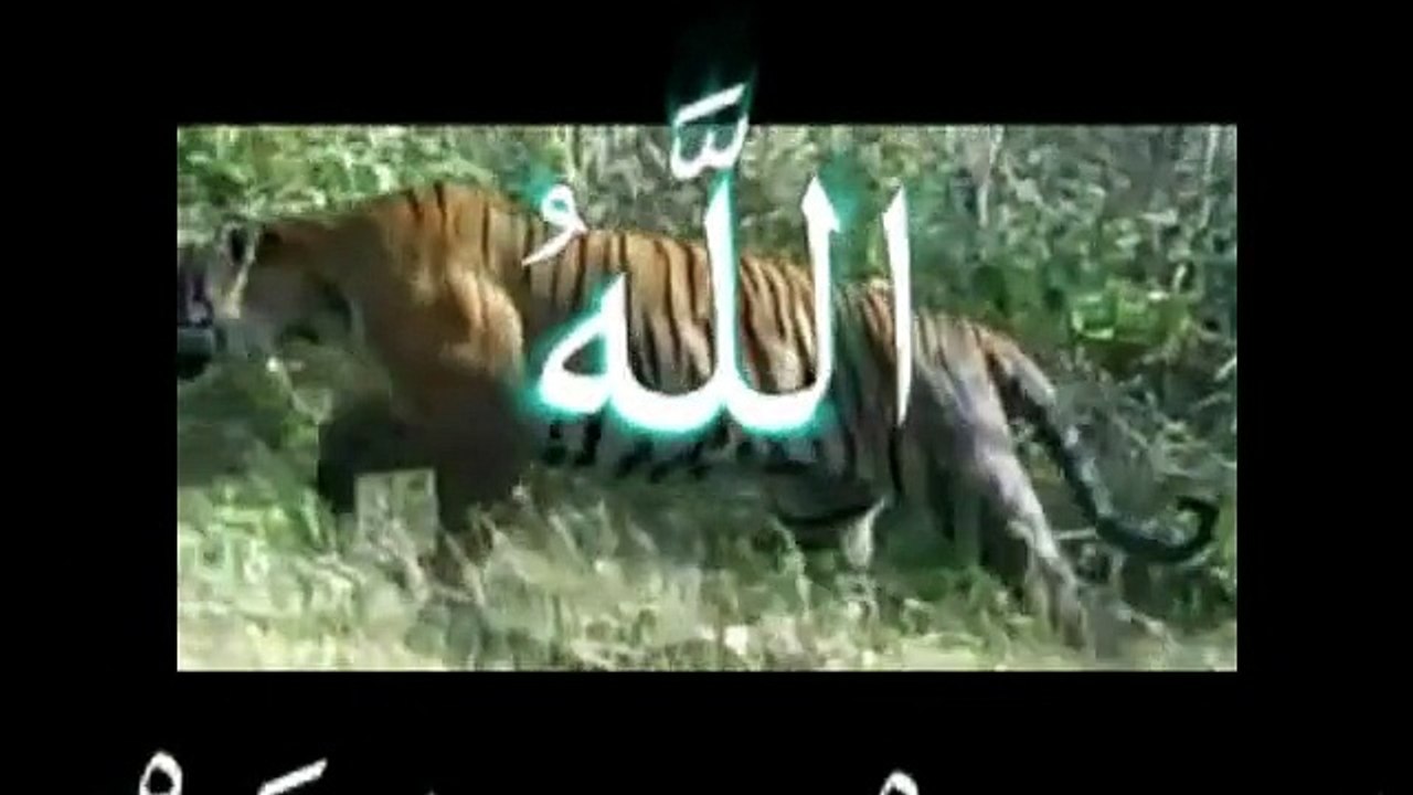 Signe d'Allah pour les non-croyants معجزة الله في خلق الكون ستصيب كل ملحد بالجنون