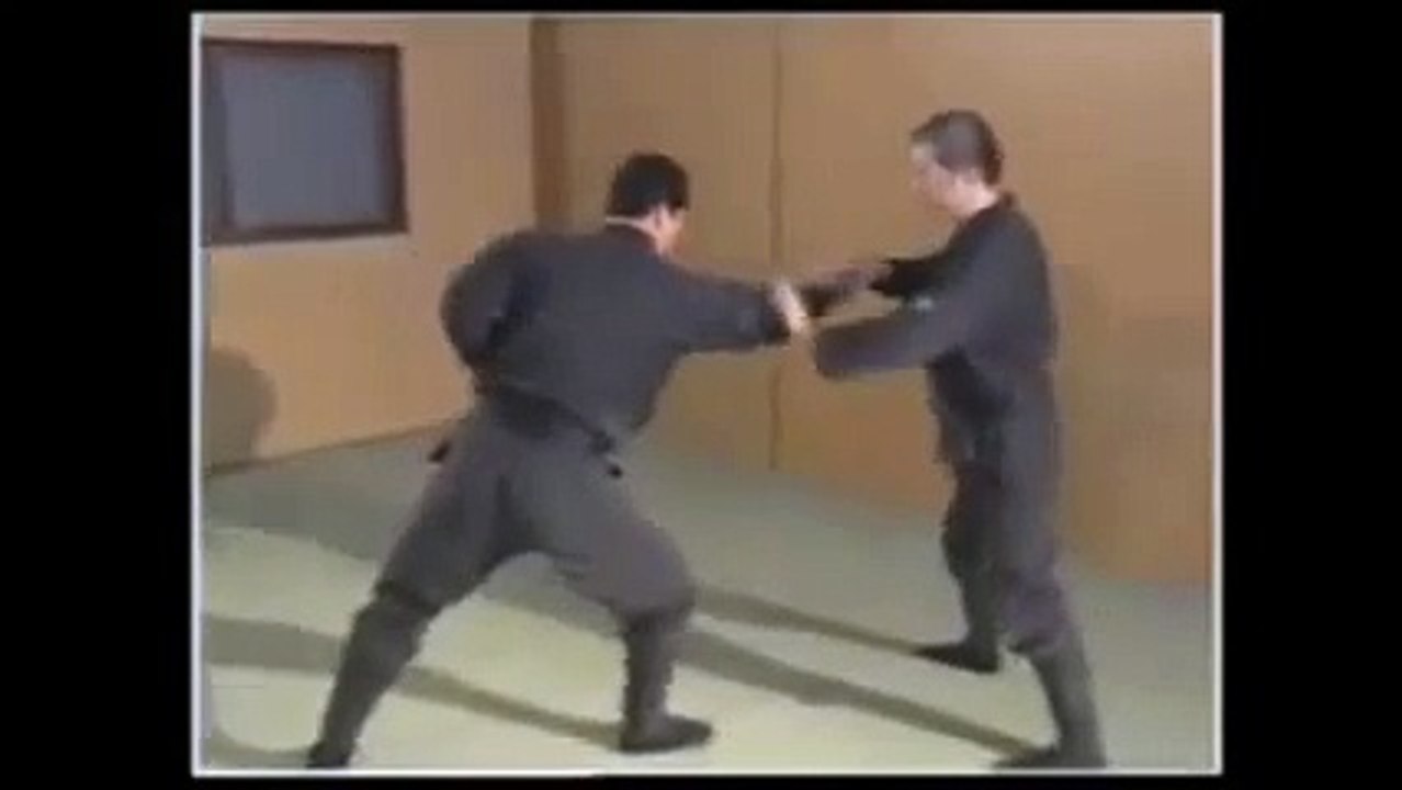 Ninjutsu