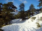 الثلوج في الجزائر - Snows over Algeria