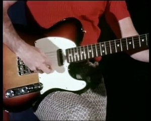 love buzz phoenix shocking blue mariska veres nirvana prodigy