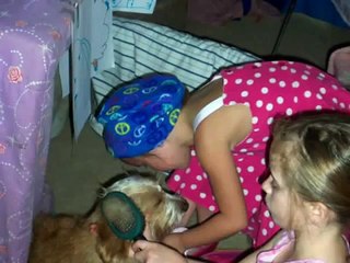 How Puppies are Made-The Dog Wedding of Clark and Noel