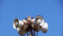 red-tailed hawks nest and around on May 15, 2015 (Tsunami Speakers Hawks)