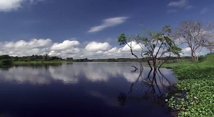 Rivers of the sun, Amazon 6-6