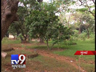 Fadnavis snubs minister over Mumbai Metro car shed site - Tv9 Gujarati