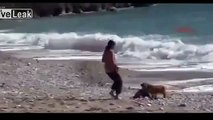 كلب يتحول إلى بطل بعد منعه رضيعا من الغرق فيديو رائع جدااا وفاء الكلب 2013