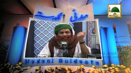 Nigahon Ki Haya - Maulana Ilyas Qadri - Madani Guldasta 19