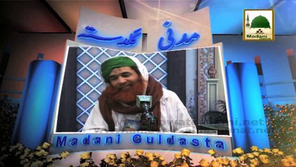 Sab Se Bari Dolat - Maulana Ilyas Qadri - Madani Guldasta 29