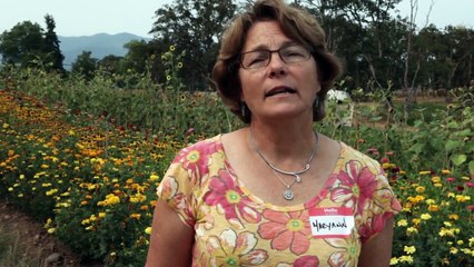 Maryann Frazier Penn St. Center for Pollinator Research | HoneyLove—Urban Beekeepers