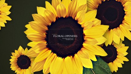 After Effects Project Files - Floral Openers - VideoHive 10520723