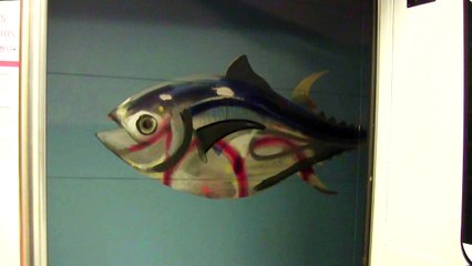 CINEPHONE 2015 : REBEL WITHOUT A CAUSE