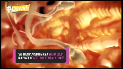 Embryo Development in Quran | Scientifc Proof | Dawah Team