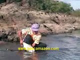 Fishing Payara - Cachorra (Dog Fish)