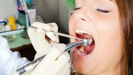 Dentist who takes Insurance in Boca Raton