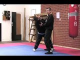 Wong Shun Leung Wing Chun David Peterson Siu nim tau seminar