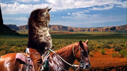 TOP 10 des montages photo !